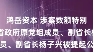 鸿岳资本 涉案数额特别巨大 甘肃省政府原党组成员、副省长杨子兴被提起公诉