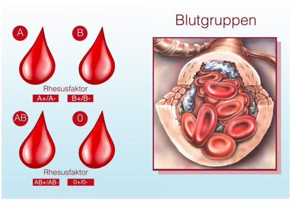 指盈配资网 四大血型排行榜公布：B型血平均年龄76岁，排名第二，第1是哪型？