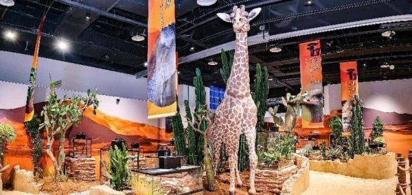 泸深策略 从海洋到沙漠！青岛科技馆年度特展“热浪”来袭