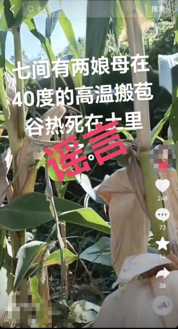 合优投资 “合川两娘母高温搬苞谷热死在土里”？假的，造谣者已被警方拘留