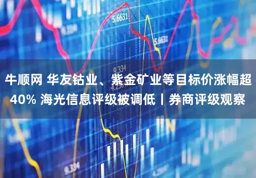 牛顺网 华友钴业、紫金矿业等目标价涨幅超40% 海光信息评级被调低丨券商评级观察